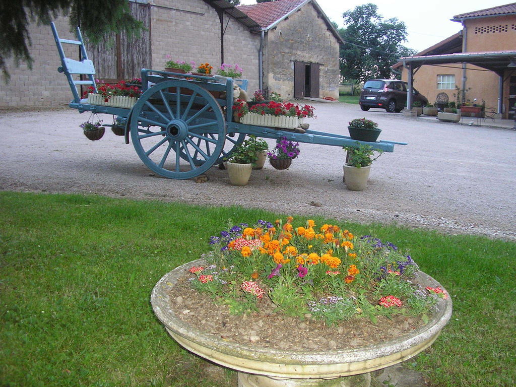Domaine De La Belliere Hotel Villars-les-Dombes Bagian luar foto