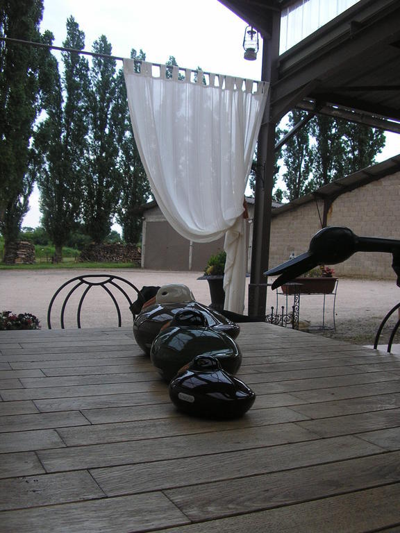 Domaine De La Belliere Hotel Villars-les-Dombes Bagian luar foto