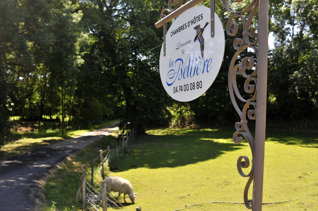Domaine De La Belliere Hotel Villars-les-Dombes Bagian luar foto