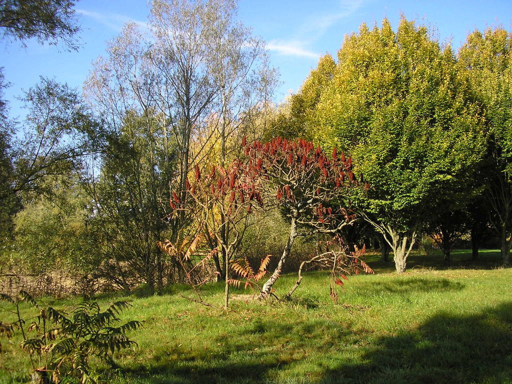 Domaine De La Belliere Hotel Villars-les-Dombes Bagian luar foto
