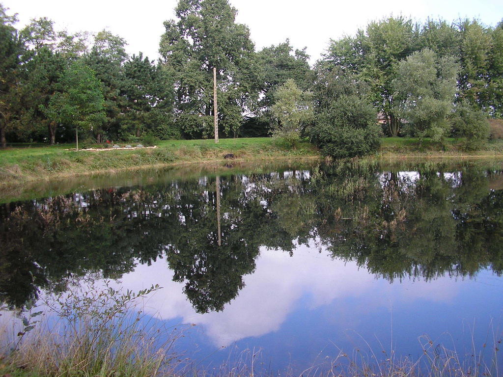 Domaine De La Belliere Hotel Villars-les-Dombes Bagian luar foto